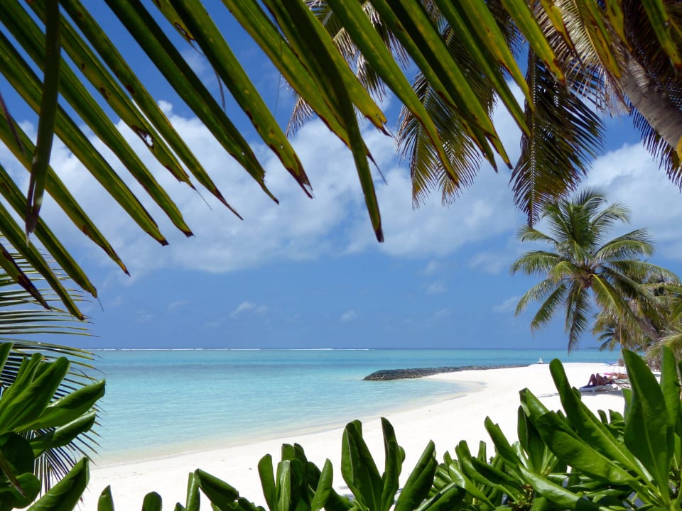 Kuschelbucht Bungis 209-226 Summer Island Maldives