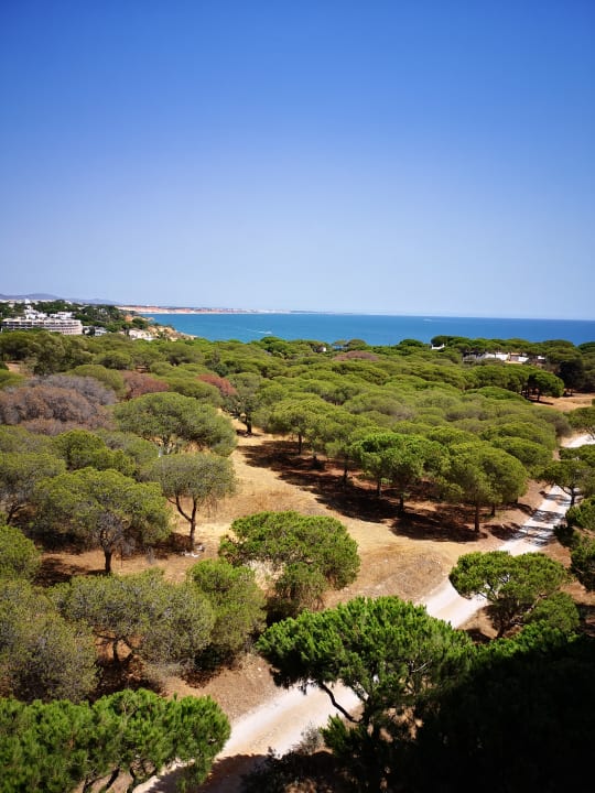 Ausblick Aqua Pedra Dos Bicos Design Beach Hotel - Adults only