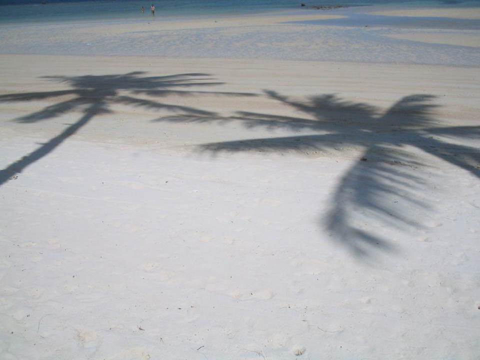 Palmschatten Long Bay Resort Koh Phangan