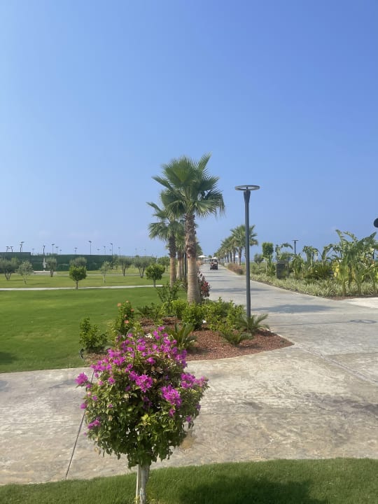 Ausblick Jacaranda Luxury Resort