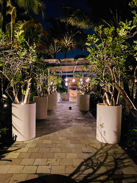 Sonstiges Zilwa Attitude