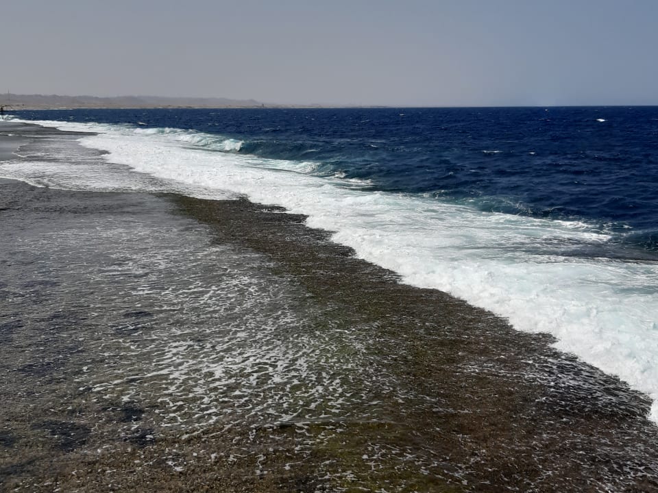 Strand Pickalbatros Sea World Resort - Marsa Alam