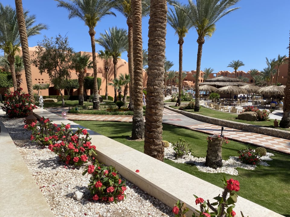 Gartenanlage Jaz Makadi Oasis Resort