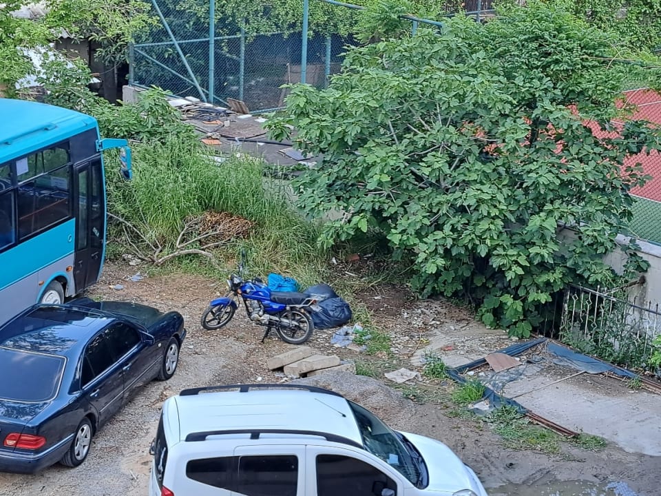 Zimmer Calimera Hane Garden