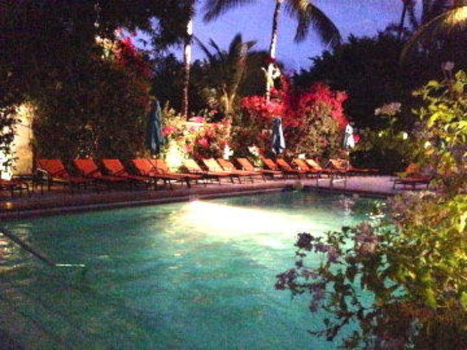 Schön sauber  The Palms Hotel & Spa