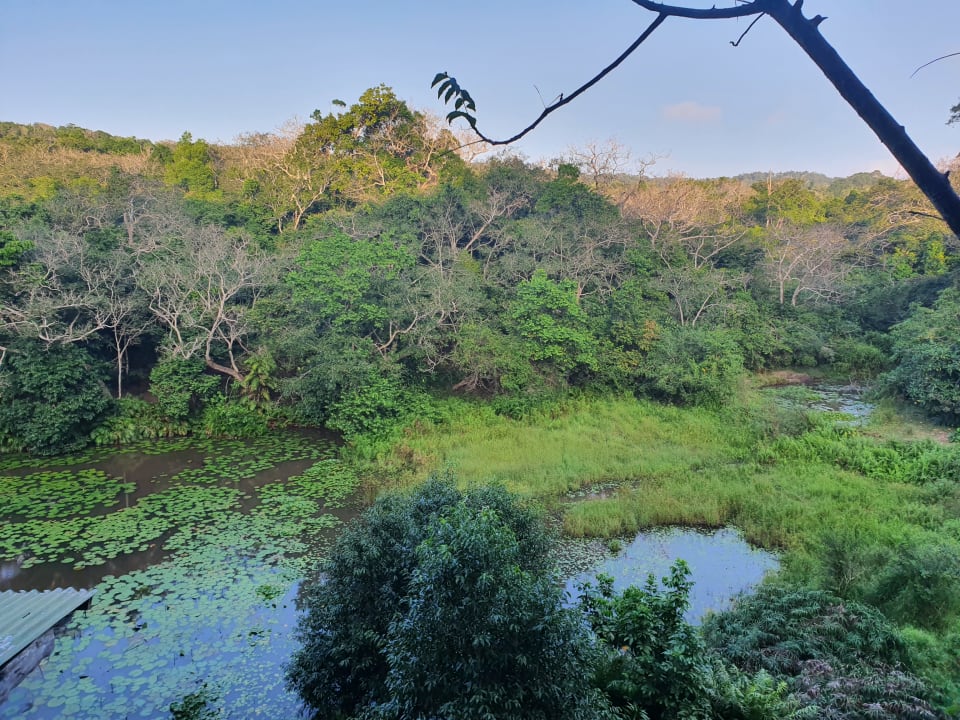 Ausblick Shimba Hills Lodge