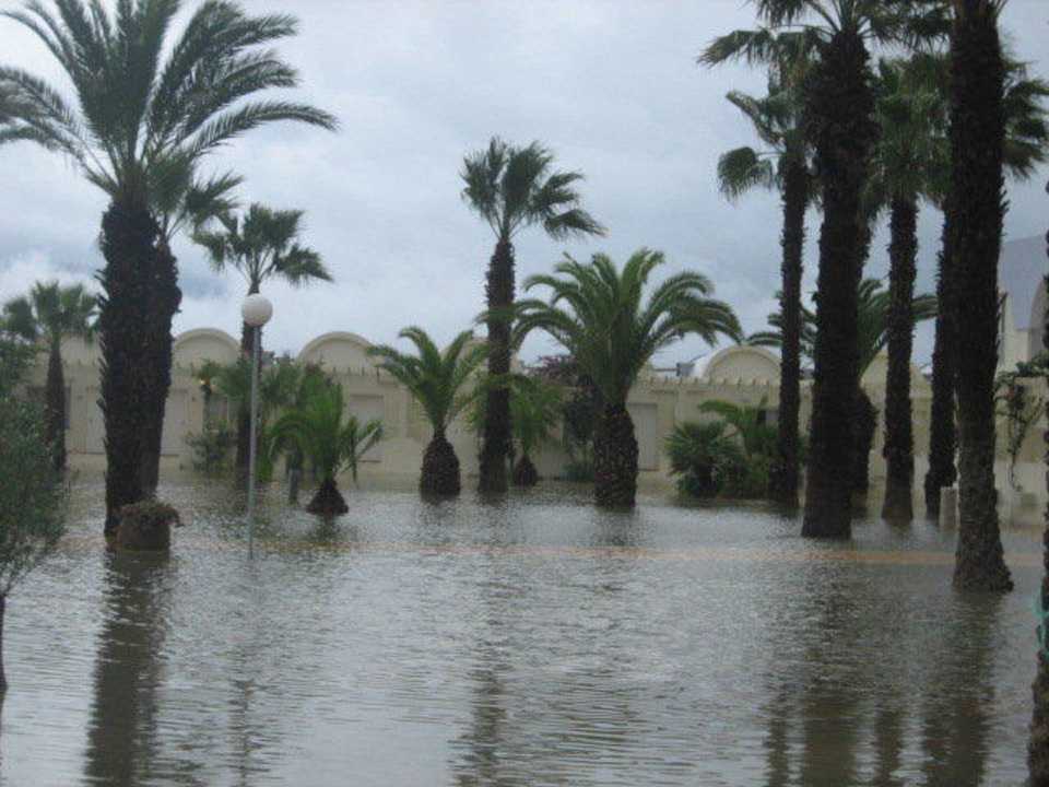 Palmen unter Wasser El Mehdi Beach Resort