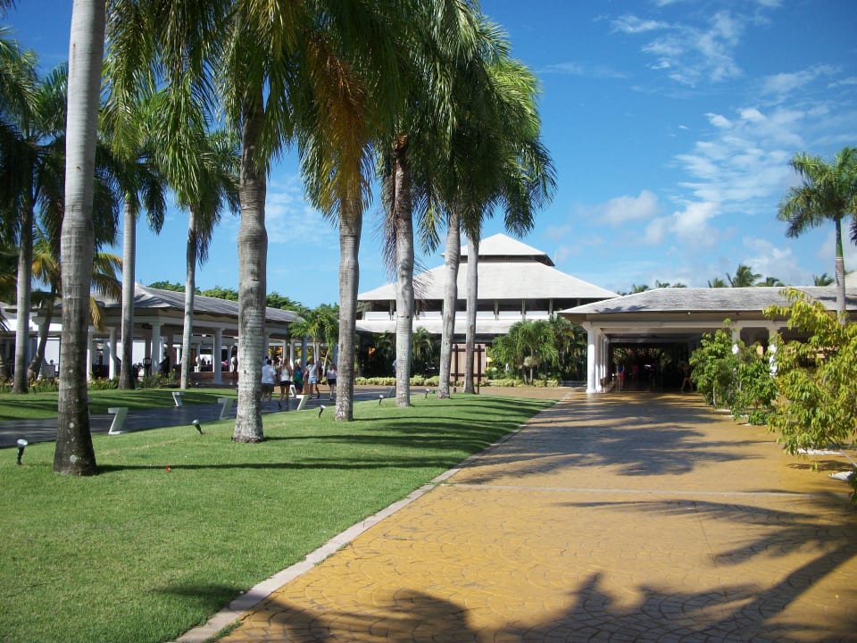 Blick von der Anlage aus Catalonia Punta Cana - All Inclusive