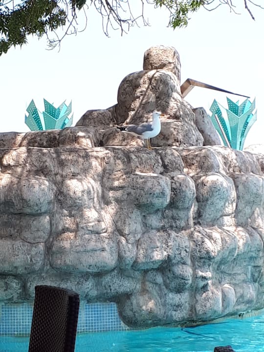 Sonstiges Hotel Borjana