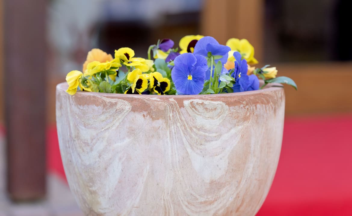 Gartenanlage Hotel Potsdam am Katharinenholz