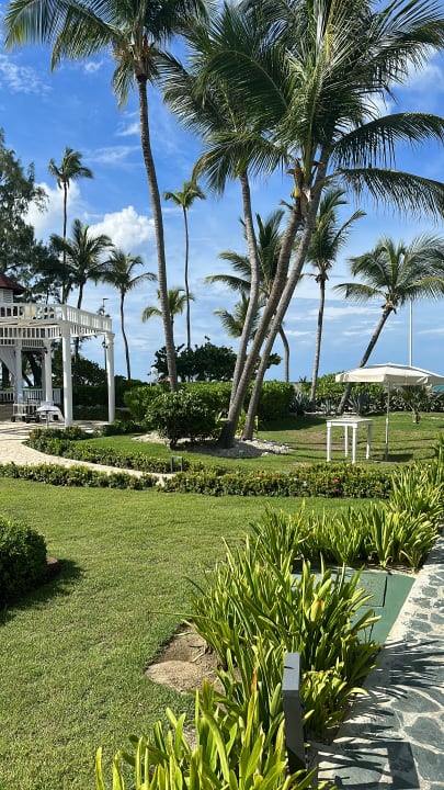 Gartenanlage Hotel Grand Palladium Palace Resort, Spa & Casino