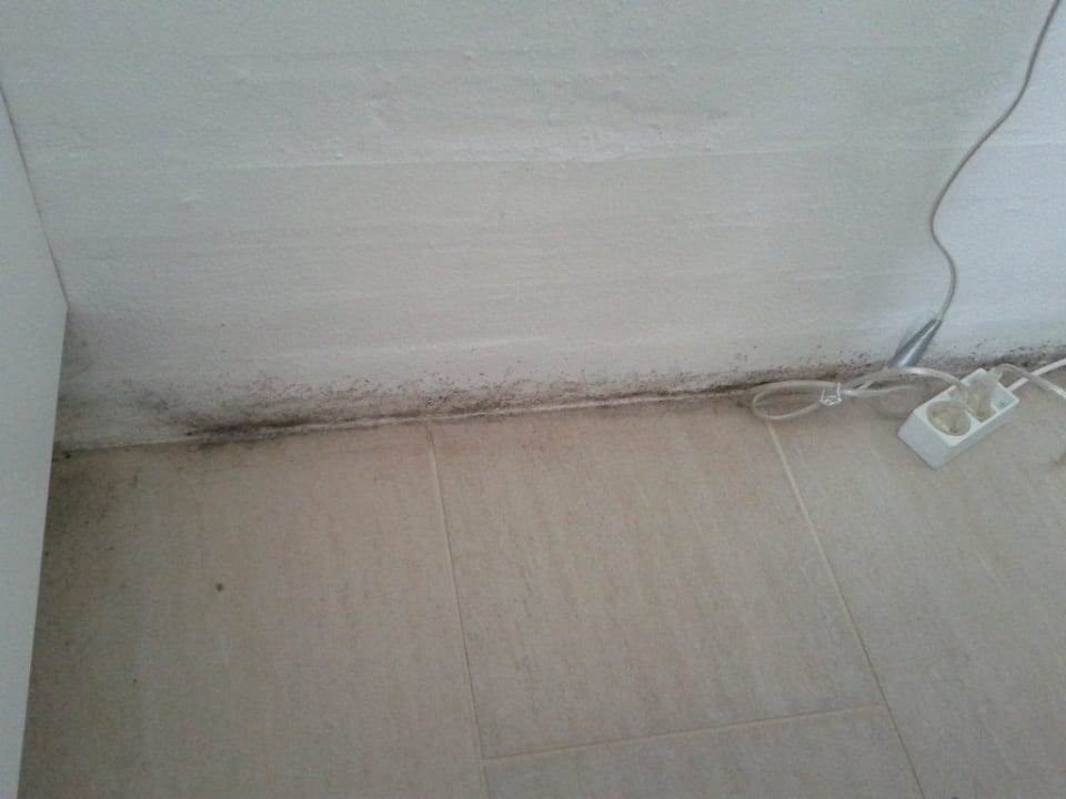 Schimmel hinter dem Bett Dancenter Ferienhäuser