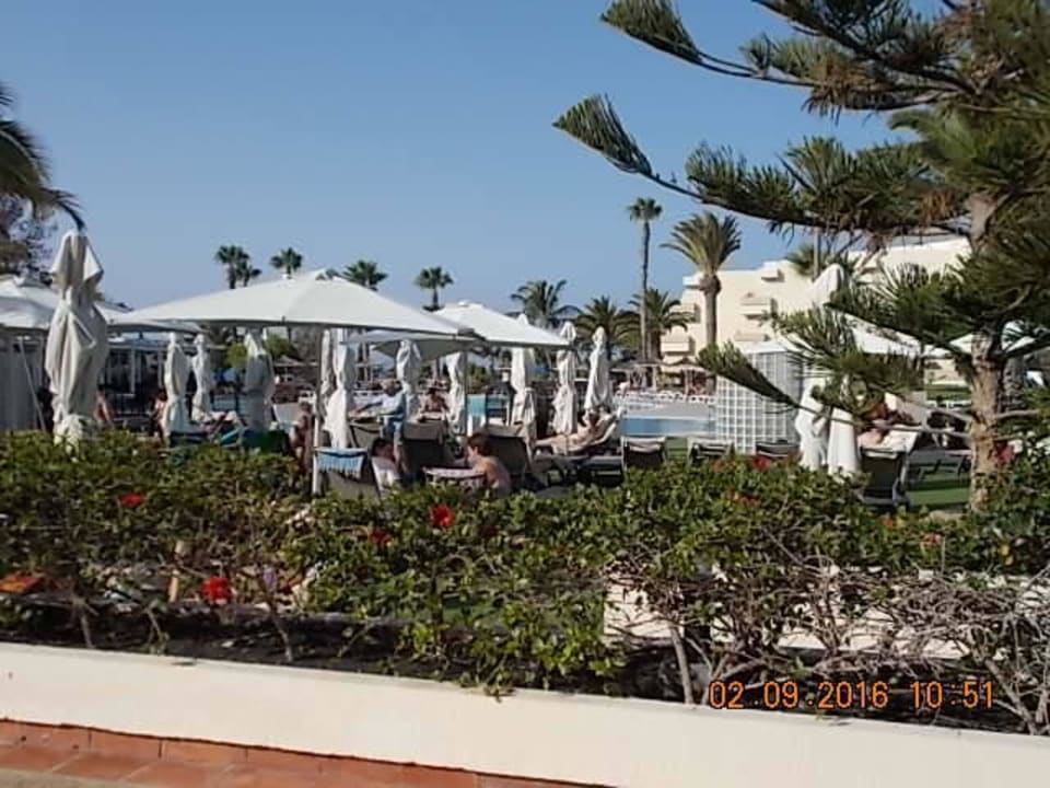 Blick vom Frühstück Dreams Lanzarote Playa Dorada Resort & Spa