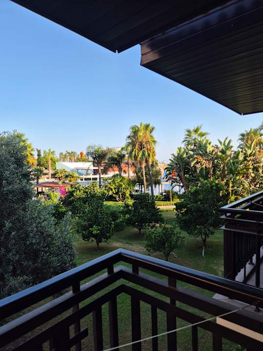 Ausblick Calimera Serra Palace