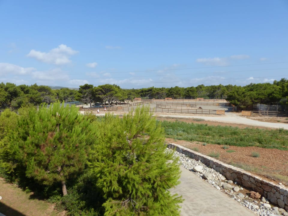 Impressionen von Plimmiri Atlantica Plimmiri