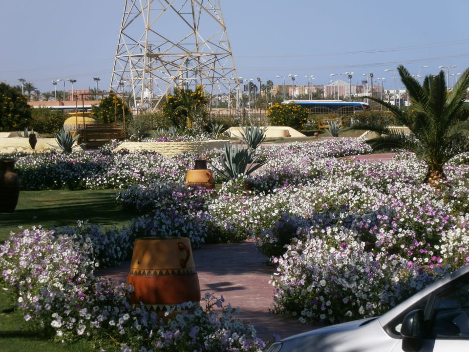Sehr gepflegte Blumenbeete Pickalbatros Alf Leila Wa Leila Resort - Neverland Hurghada