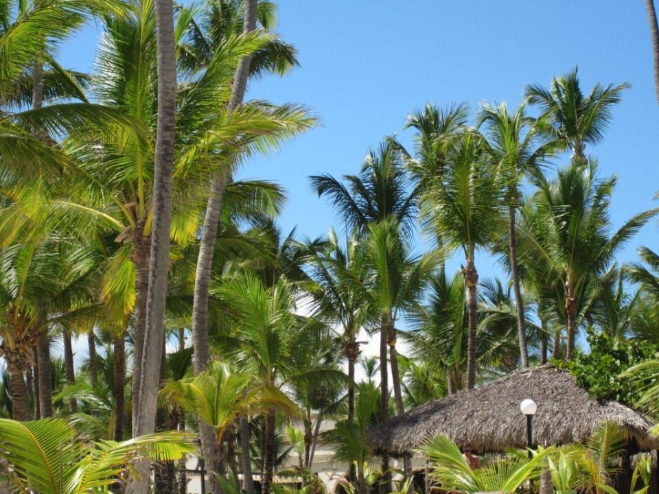 Vom Meer Richtung Hotel Hotel Riu Bambu