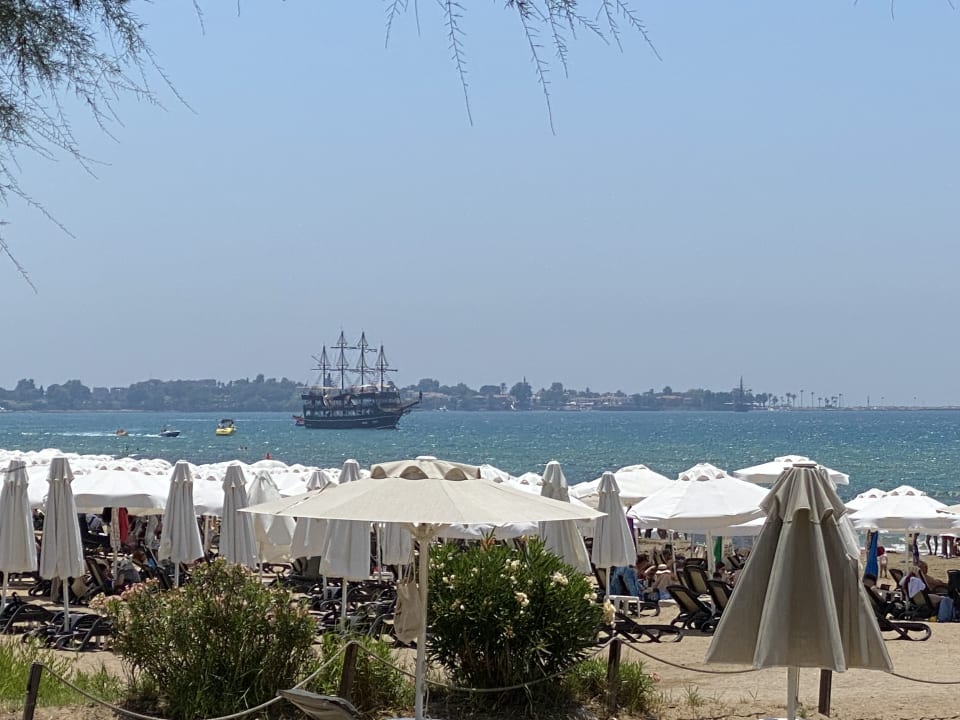 Strand Arum Barut Collection