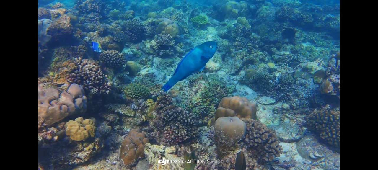 Sonstiges Ellaidhoo Maldives by Cinnamon