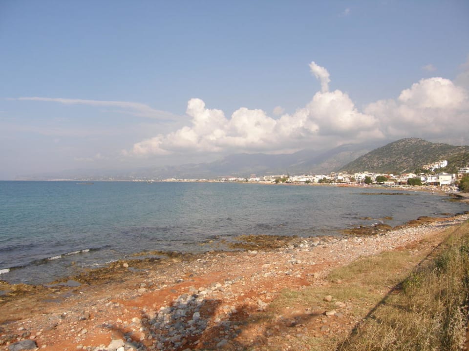 Traumhaft allsun Hotel Carolina Mare