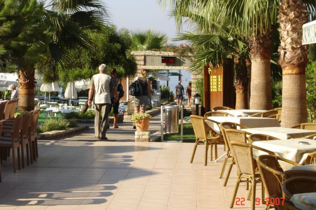 Der Weg zum Strand Trendy Palm Beach (Adults Only, 16+)