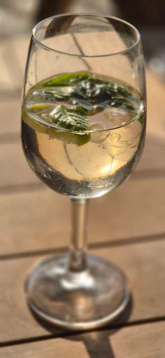 Gastro allsun Hotel Carolina Mare