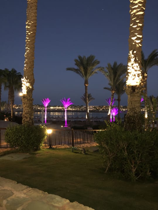 Garten Steigenberger Coraya Beach - Adults only