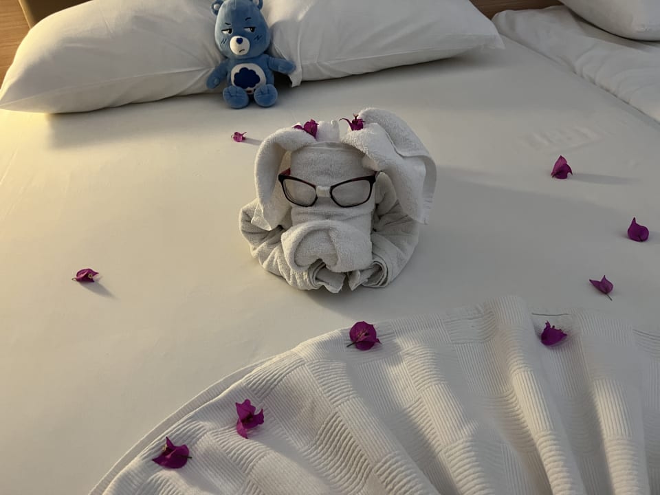 Zimmer Telatiye Resort