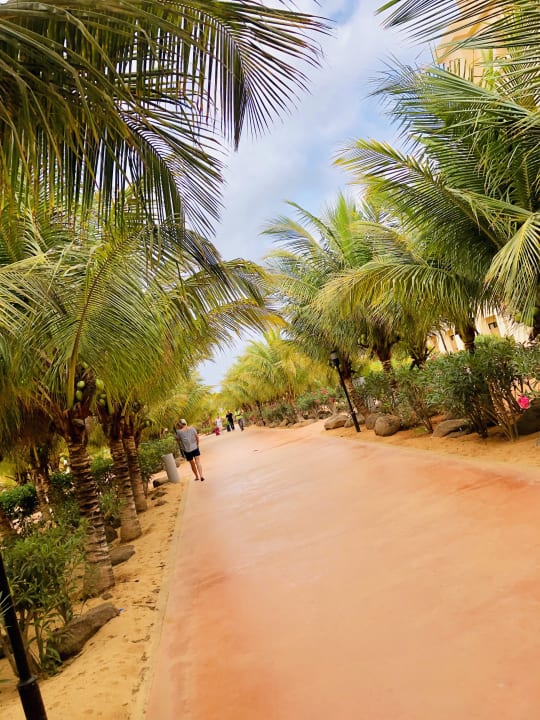 Gartenanlage Hotel Riu Touareg