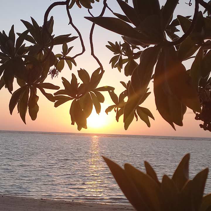 Strand Summer Island Maldives