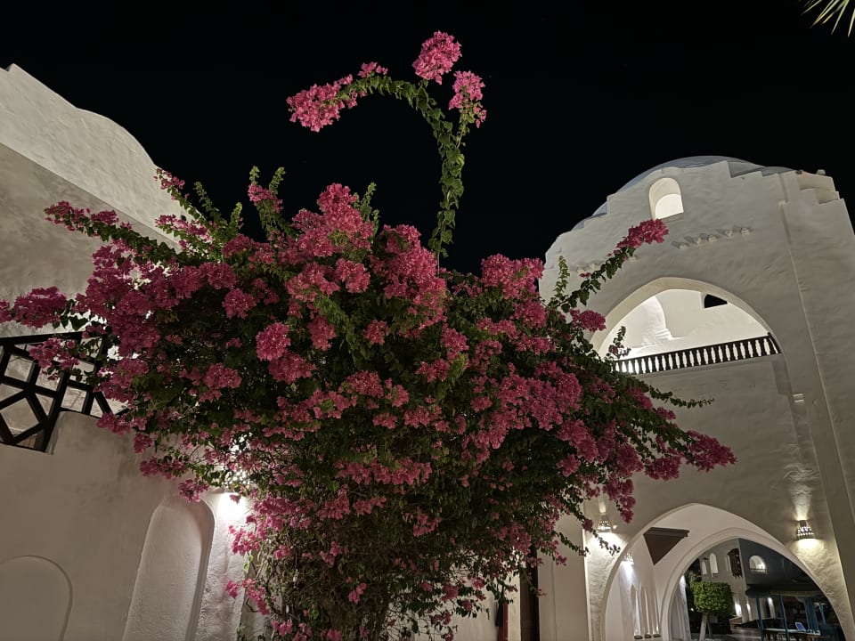 Gartenanlage Arabella Azur Resort