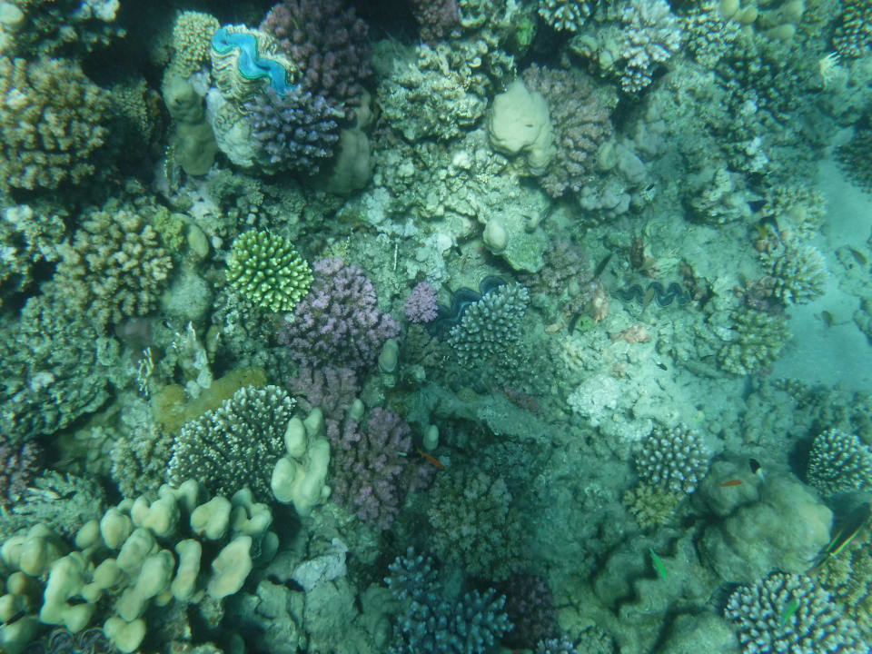 Sport & Freizeit Three Corners Sea Beach Resort