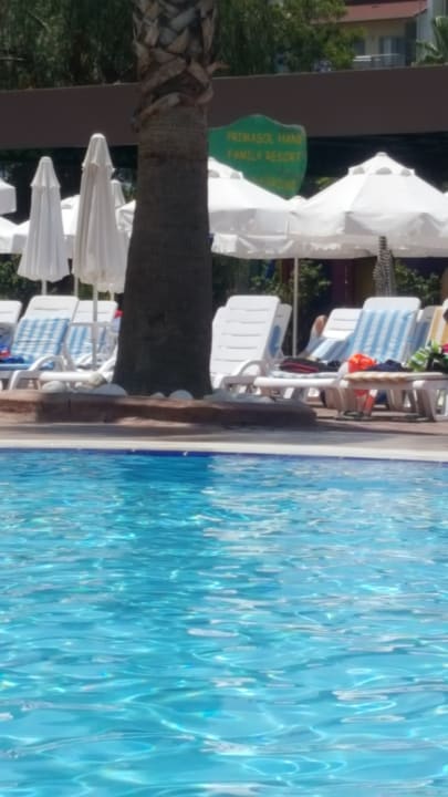 Pool Hane Family Resort