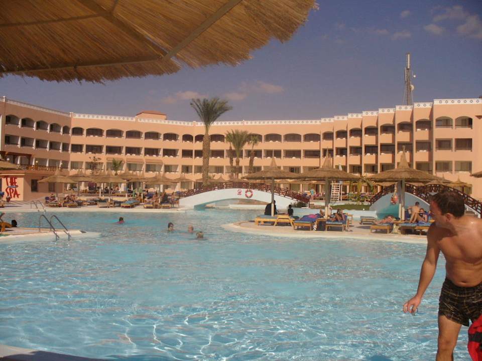 Einer von den Pools Beach Albatros Resort