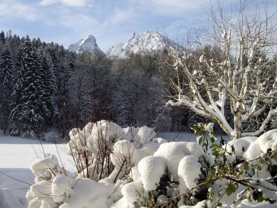 Schöner Blick Alm- & Wellnesshotel Alpenhof