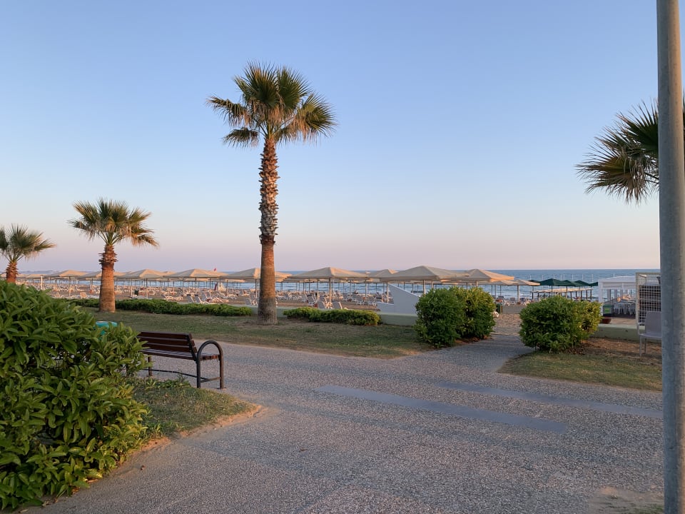 Strand Kamelya Aishen Club