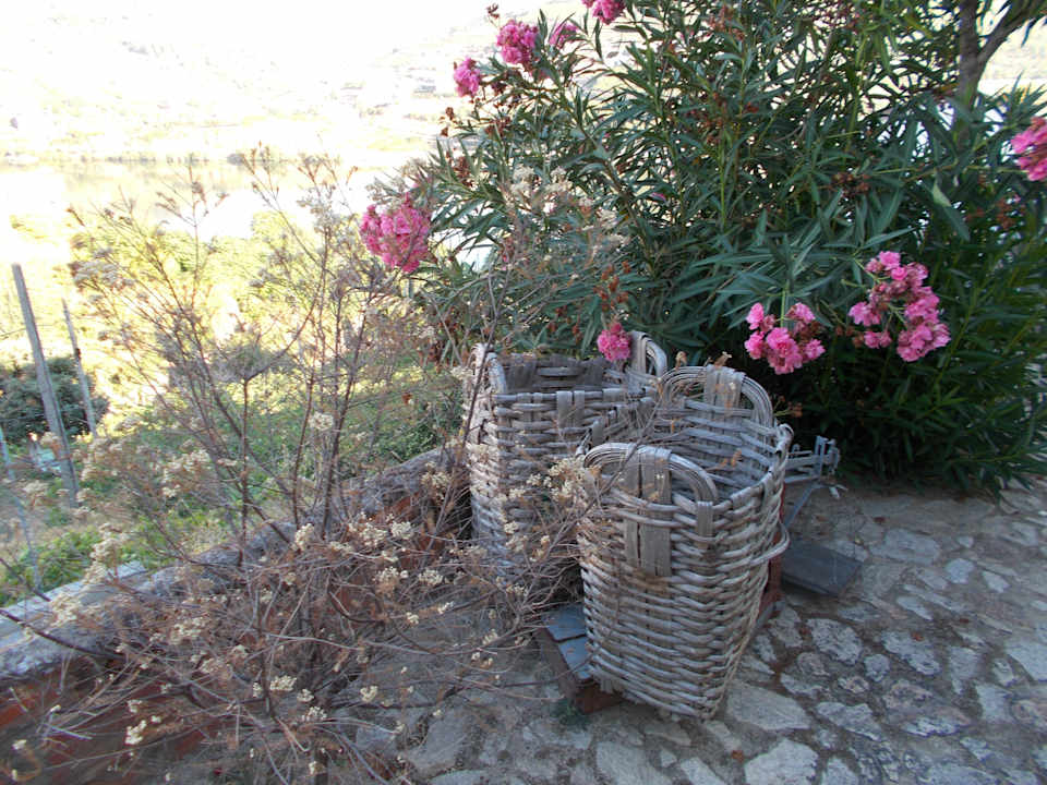 Liebevolle Dekoration auf dem Hof Quinta Da Azenha