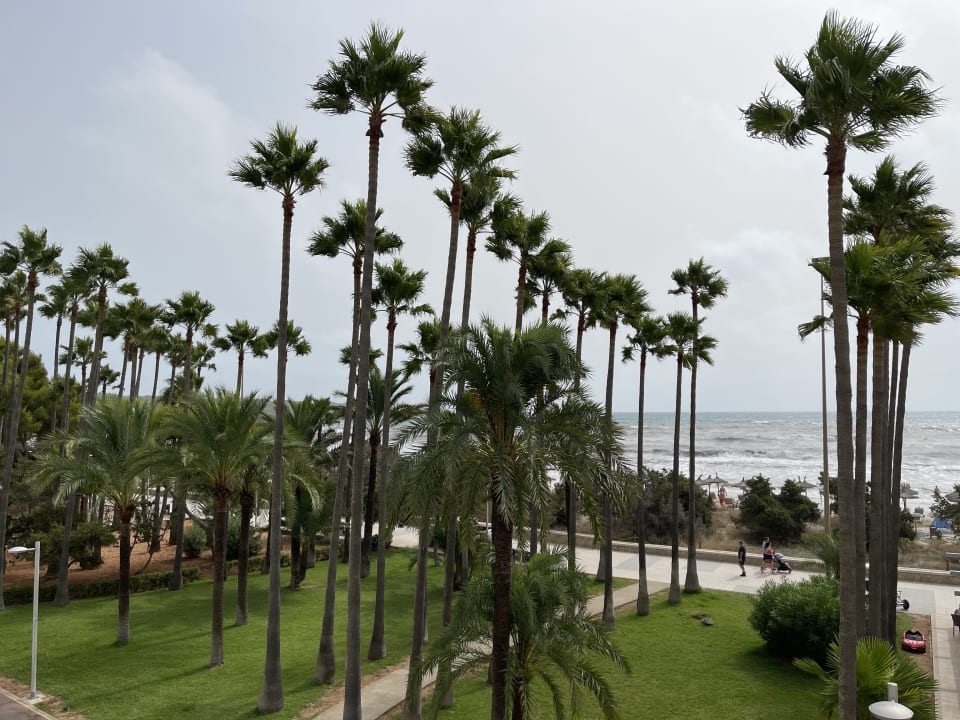 Strand Hipotels Mediterraneo Club