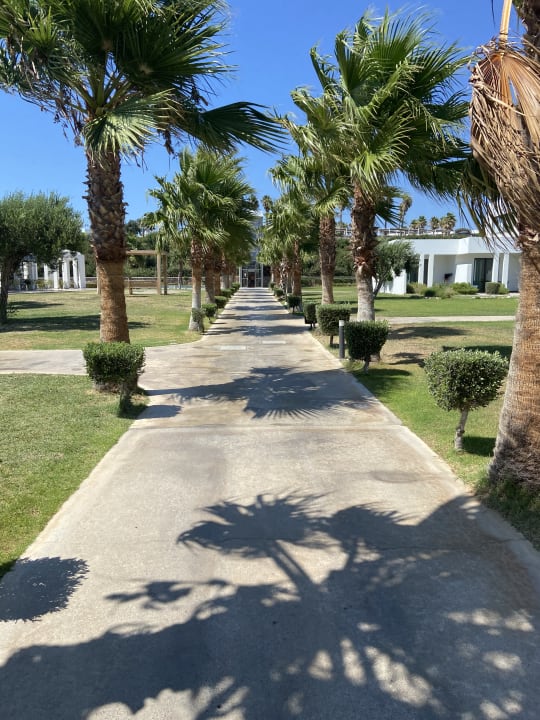 Gartenanlage Atlantica Plimmiri