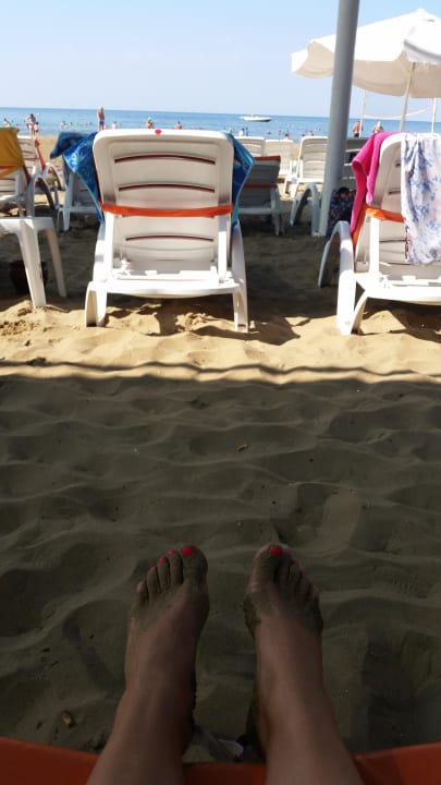 Liegen am Strand stehen viel zu nah zusammen  Side Alegria Hotel & Spa - Adults only +16