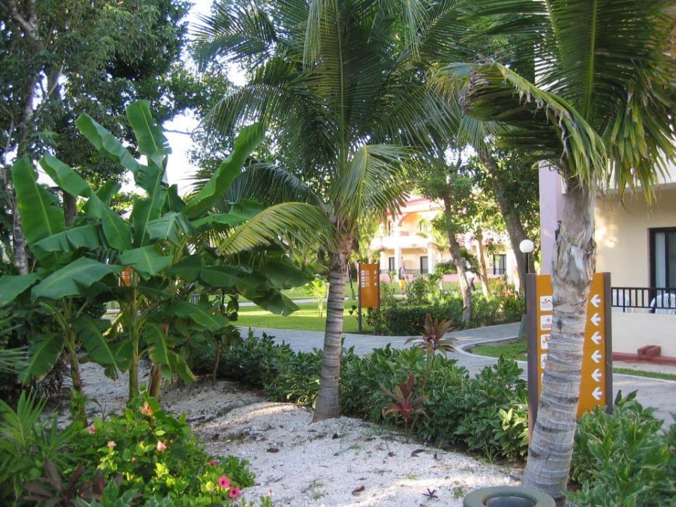 Hotelanlage Hotel Riu Tequila