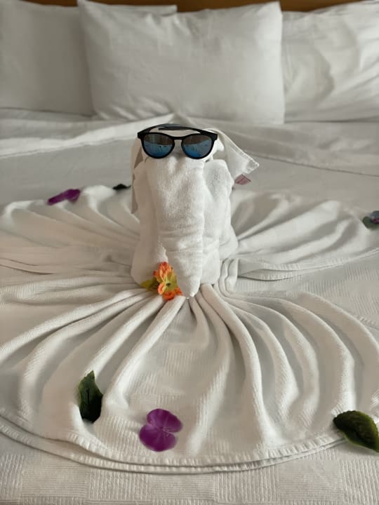 Zimmer Diamond De Luxe Hotel & Spa