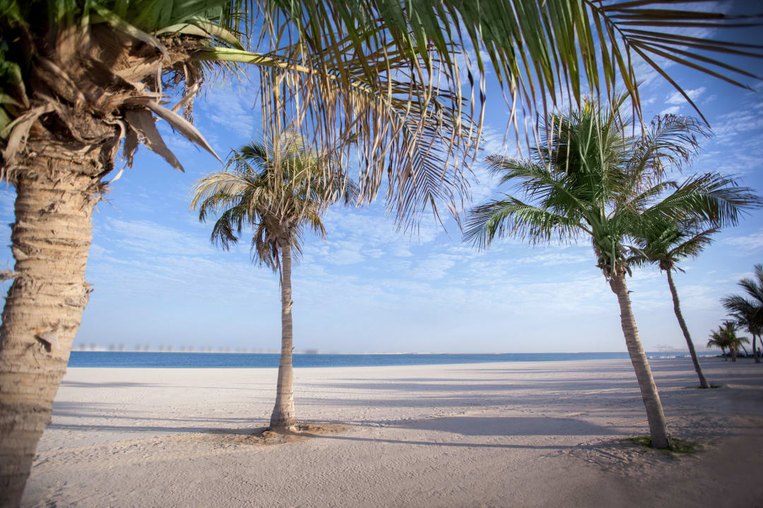 Beach JA Palm Tree Court
