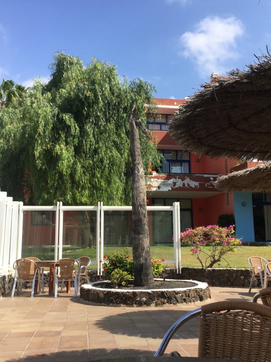 Gartenanlage SBH Fuerteventura Playa