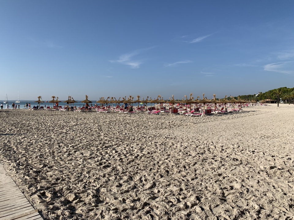 Strand Alcudia Garden Aparthotel