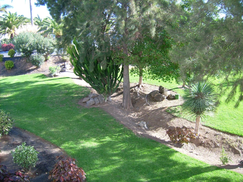 Blick in die Gartenanlage von Zimmer 523 allsun App.-Hotel Esquinzo Beach