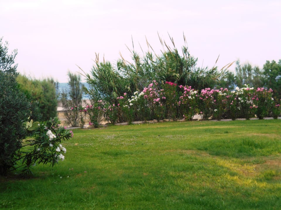 Gartenanlage Oscar Resort Hotel