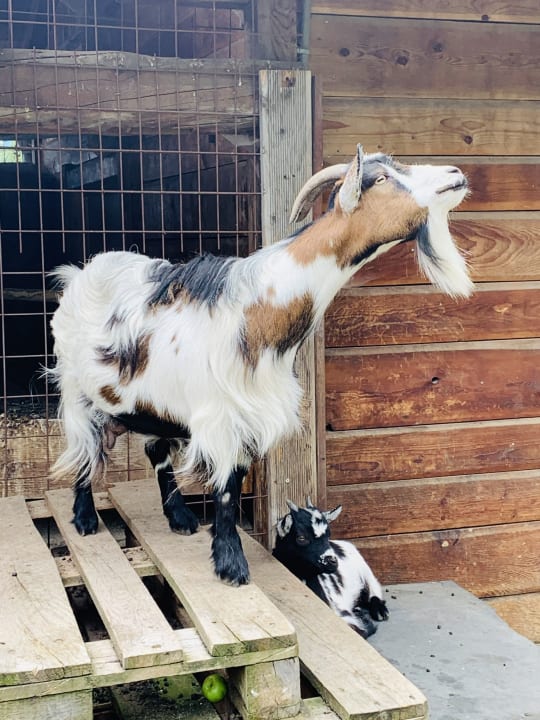 Sport & Freizeit Hotel Gasthof Kröll