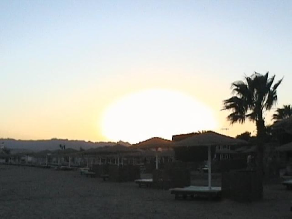sonnenuntergang Eagles Paradise Abu Soma