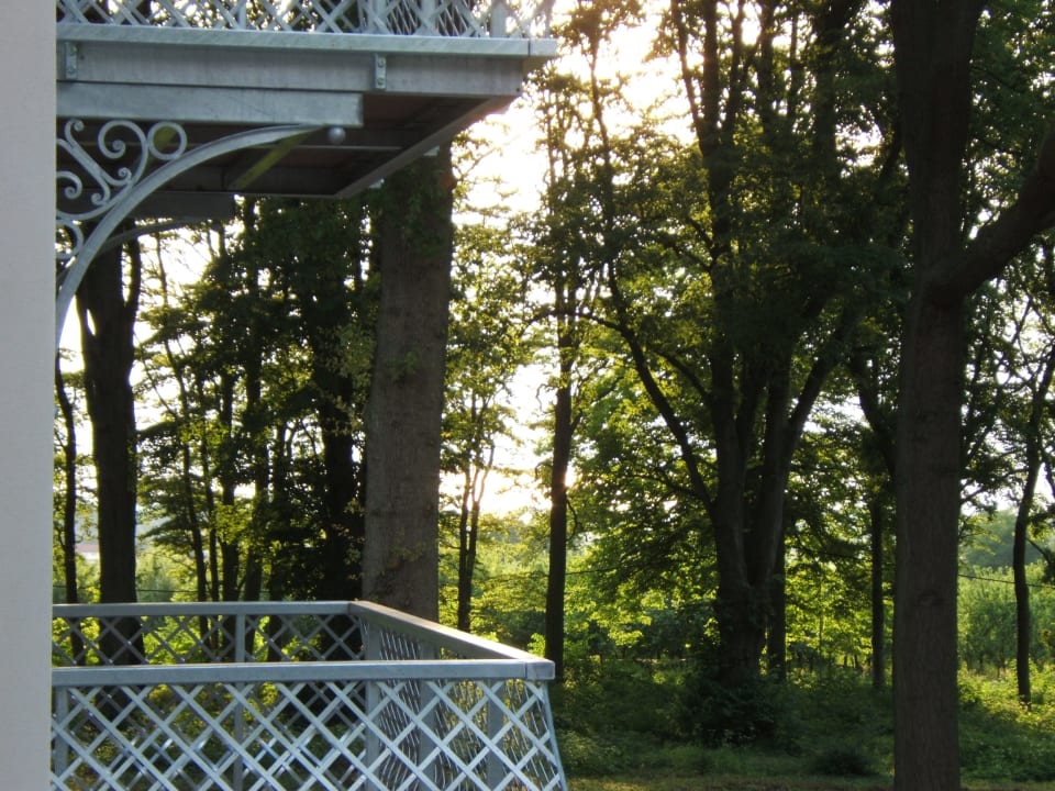Ausblick Appartement im Jagdschloß zu Hohen Niendorf